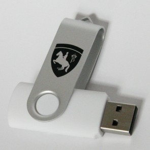 USB Stick Logo SRS